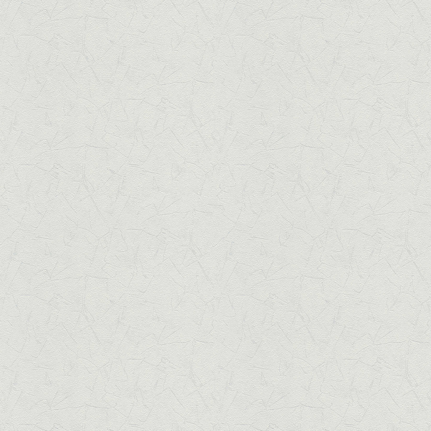         Vliesbehang dubbel breed om over te schilderen met gipslook - wit
    