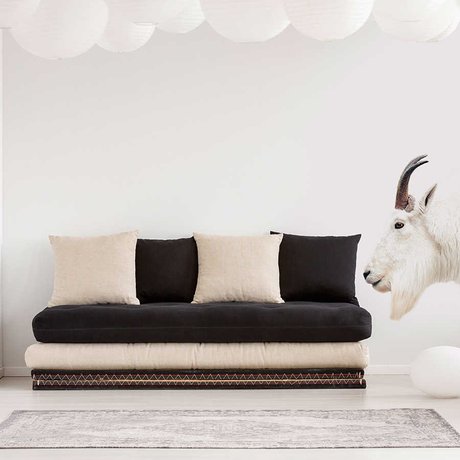 sofa, couch, schwarz, beige, modern