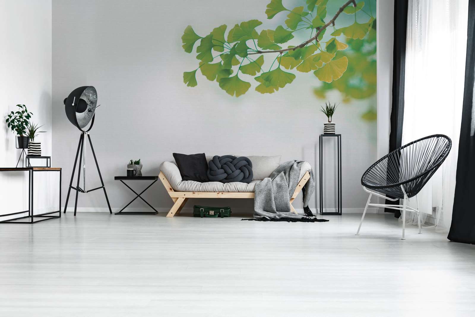             Fototapete mit Nachaufnahme von Ginko-Ast – Grün, Weiß
        