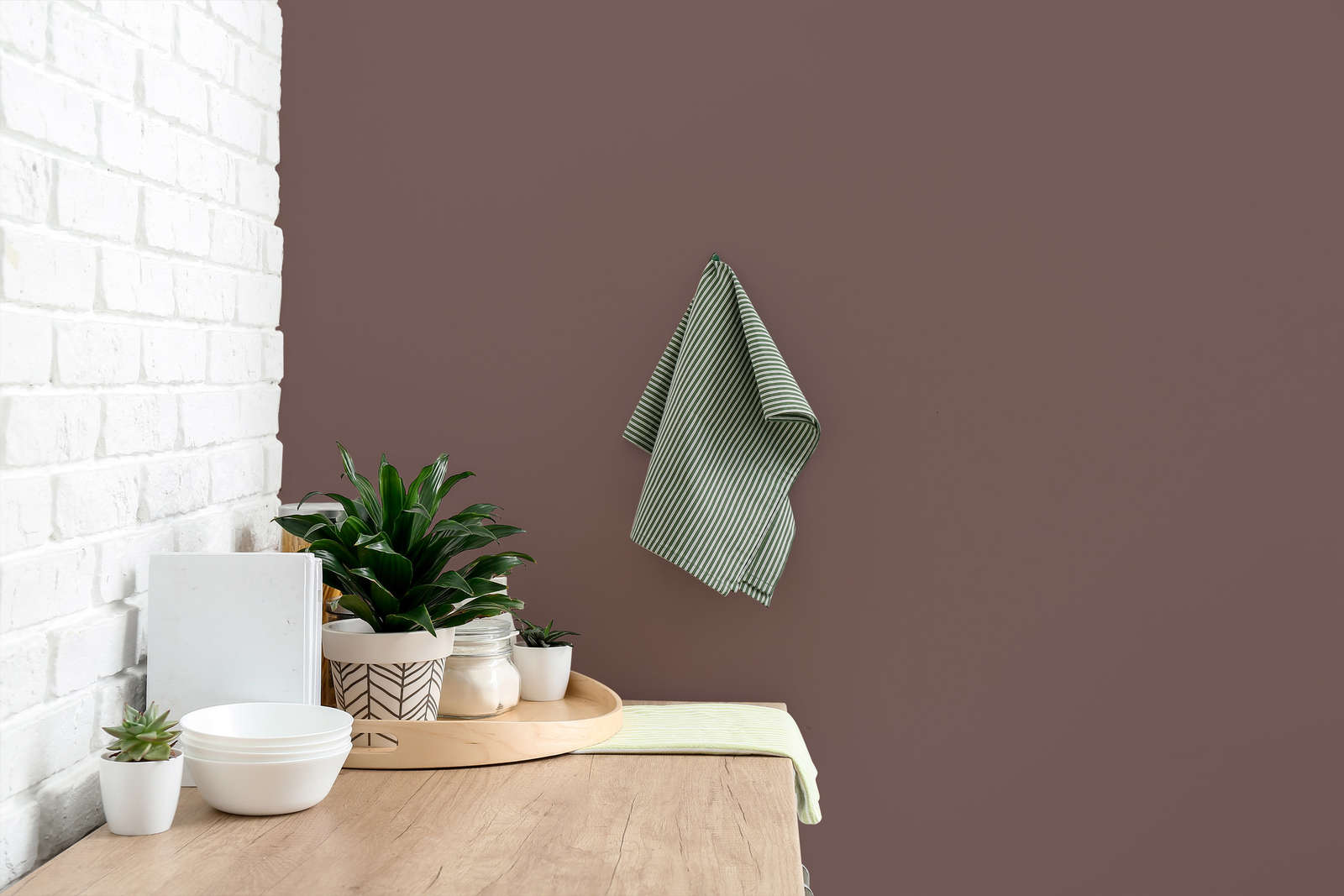 Pflanze, Drinnen, Innenarchitektur, Inneneinrichtung