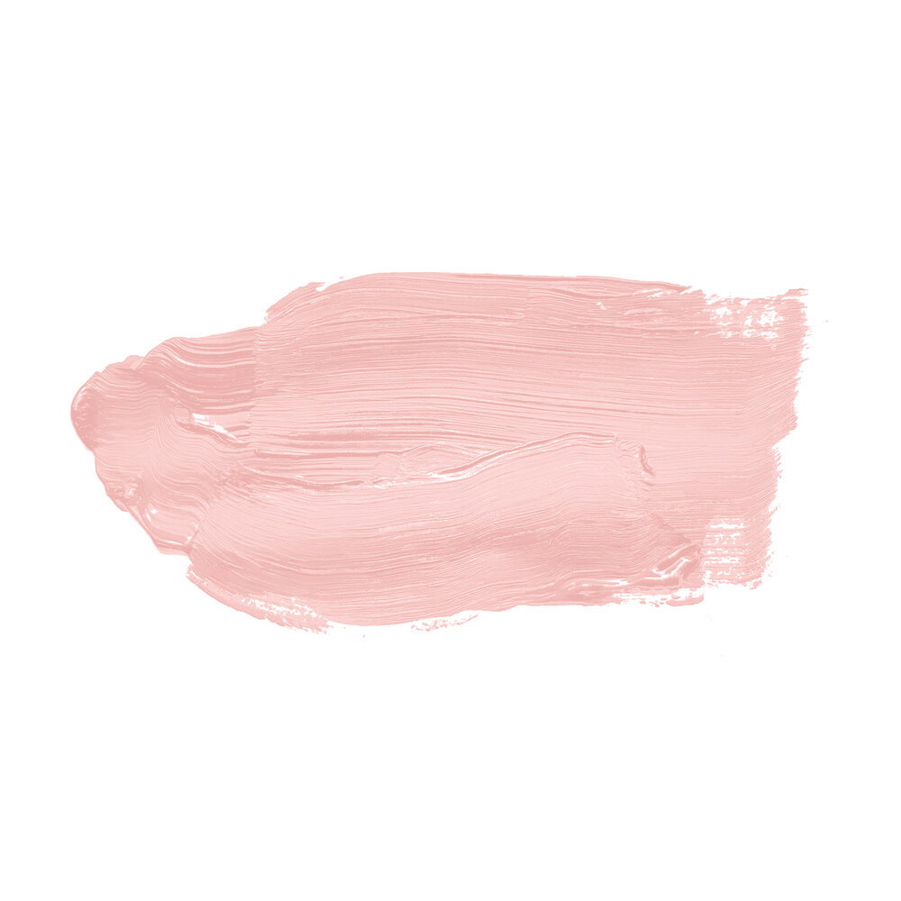Rosé Farbe, Makeup Puder, Creme-Farbton, Makeup, Schminkpinsel