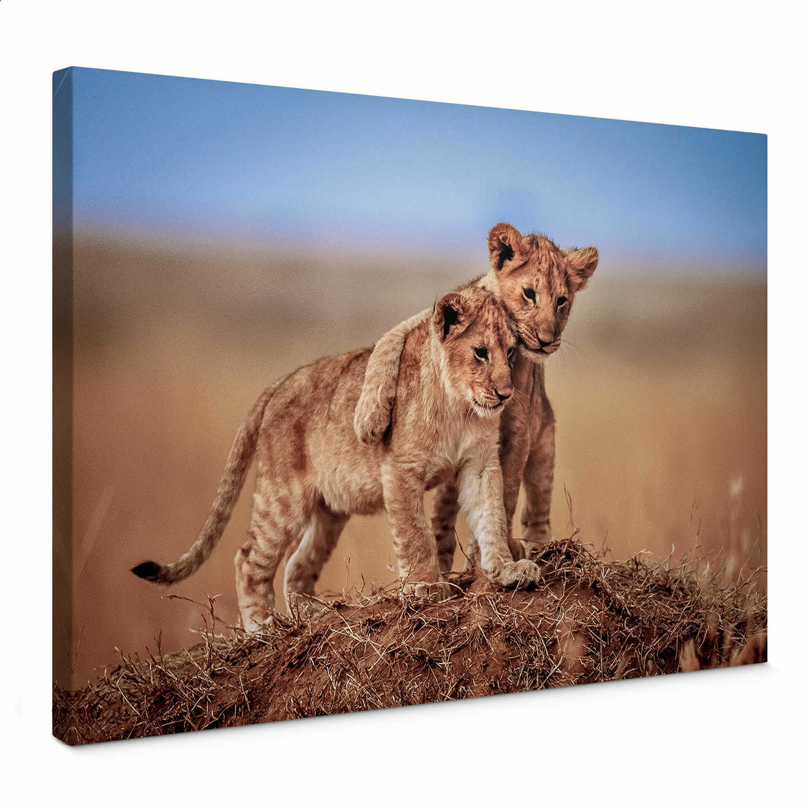         Canvas print little lions at play, nature photographie
    