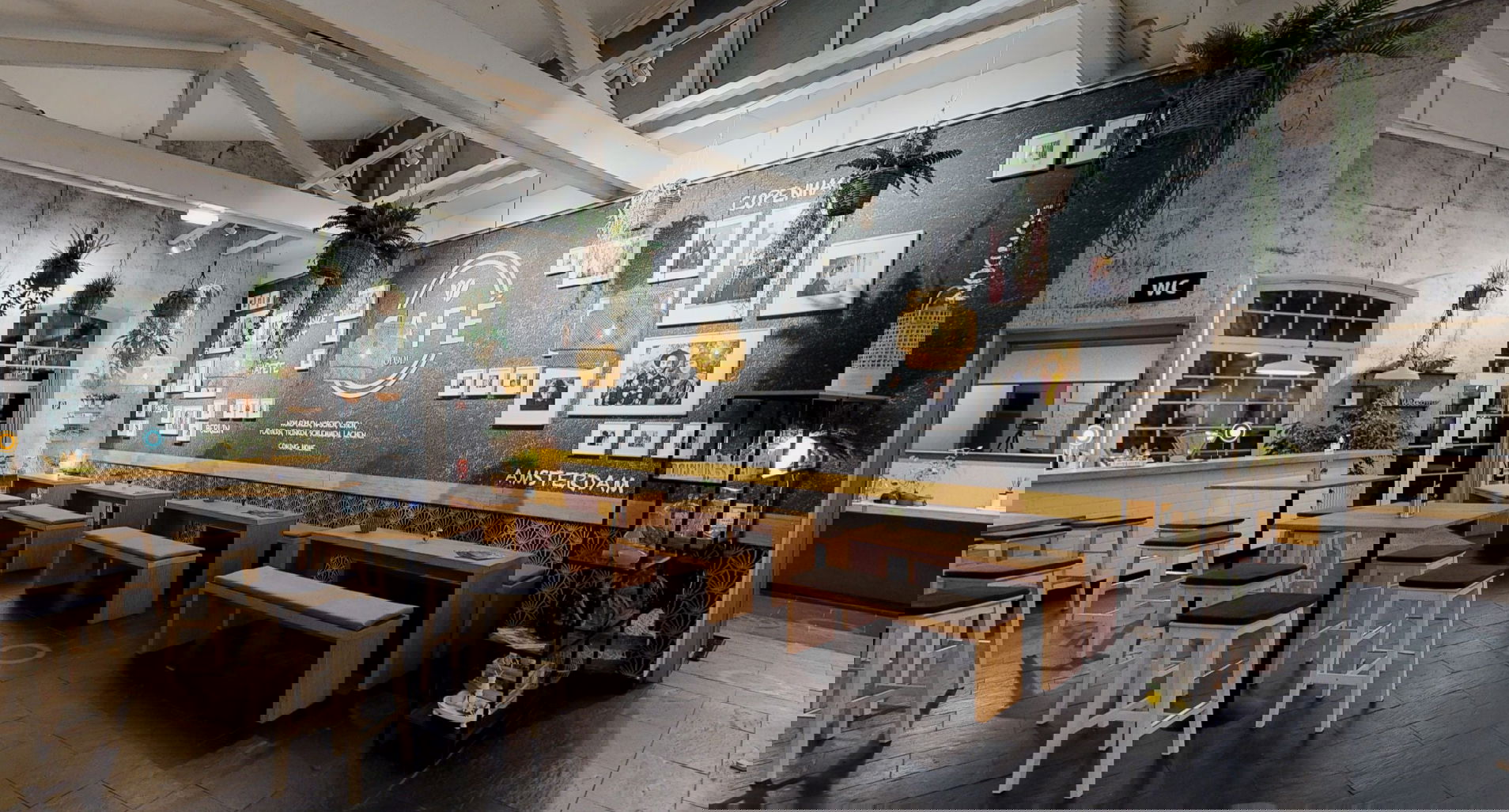 Drinnen, Restaurant, Café, Cafeteria, Pflanze