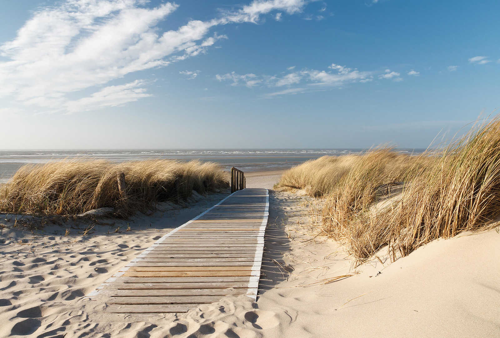         Papier peint plage avec dunes et chemin - crème, bleu, blanc
    