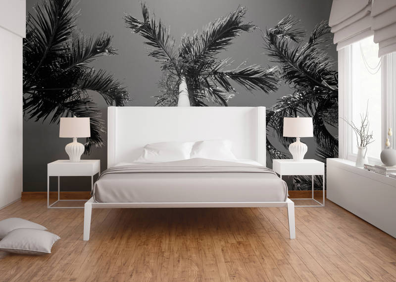             Palmen – Fototapete Schwarz-Weiß mit Palmen
        