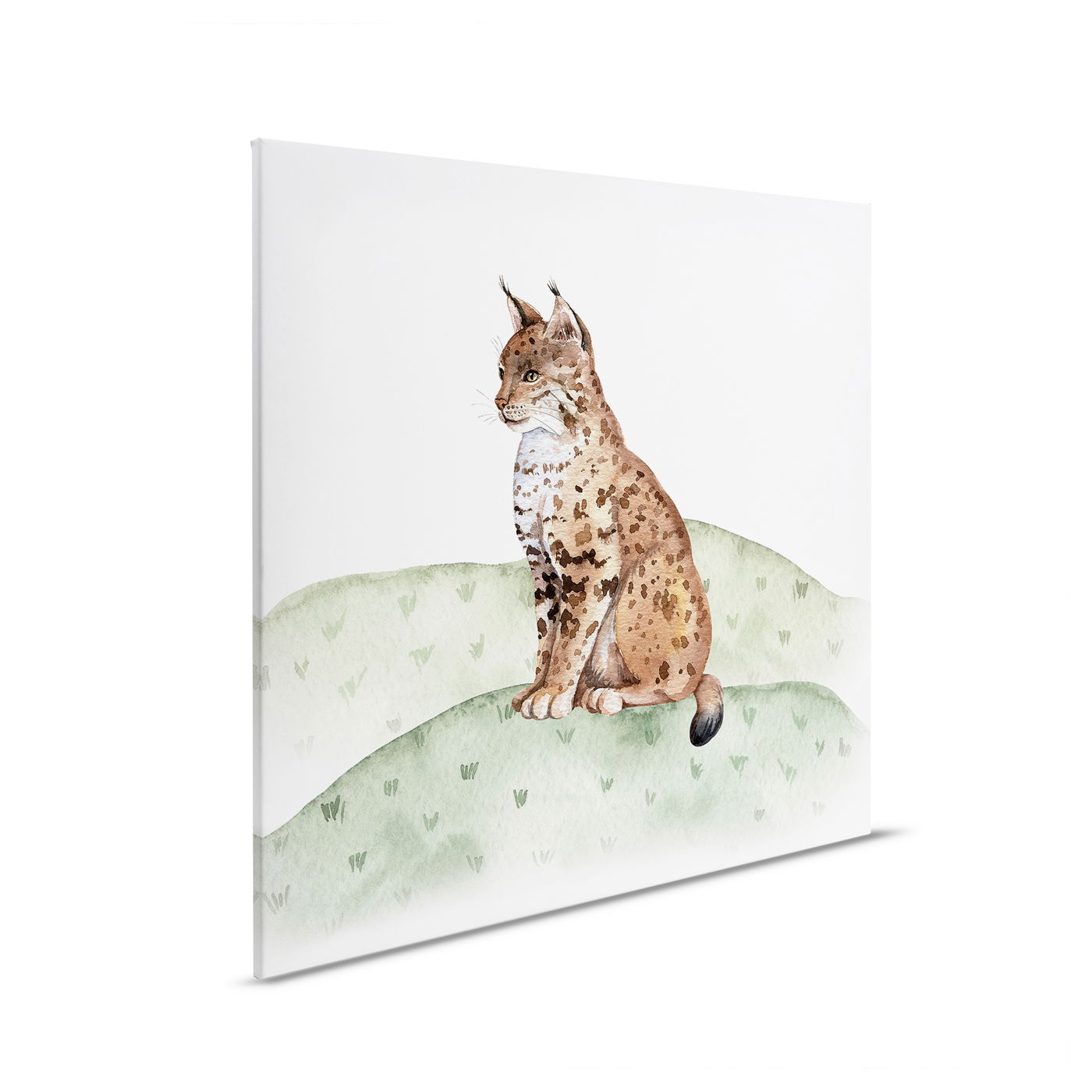         Kinderzimmer Leinwandbild Luchs auf der Wiese - Stilvolle Tierillustration – 30 x 30 cm - Braun, Grün
    