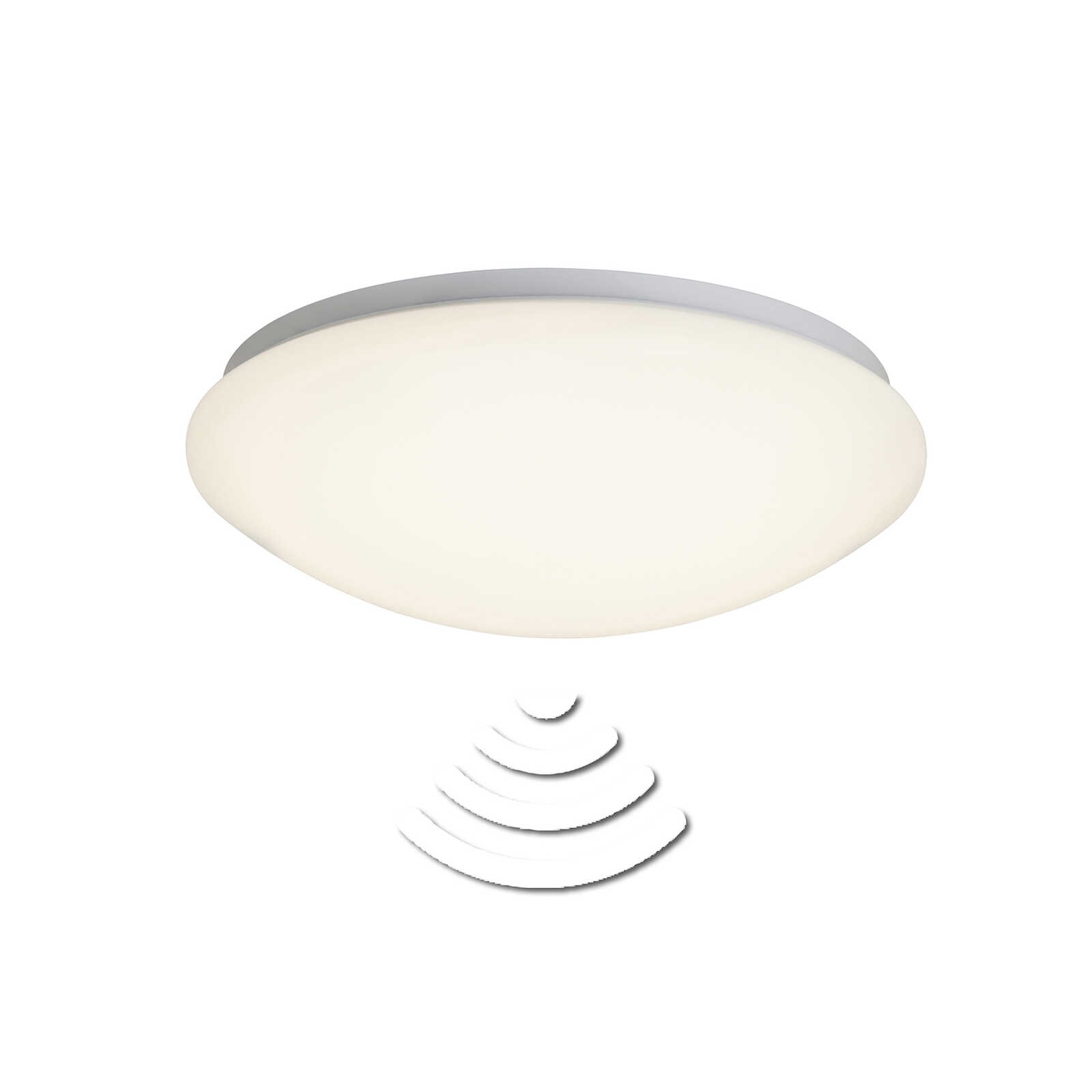         Applique et plafonnier en plastique - Friedrich 1 - Blanc
    