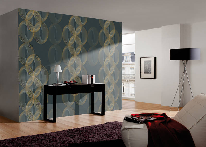             Fototapete im 3D-Look –Kreismuster mit feinem Liniendesign
        