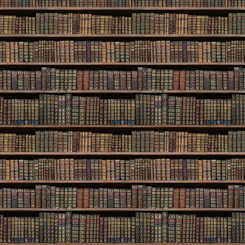 Buch, Bibliothek, Veröffentlichung, Regal, Mobiliar