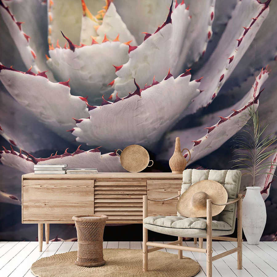 kaktus, pflanze, dekoration, wandtattoo, muster