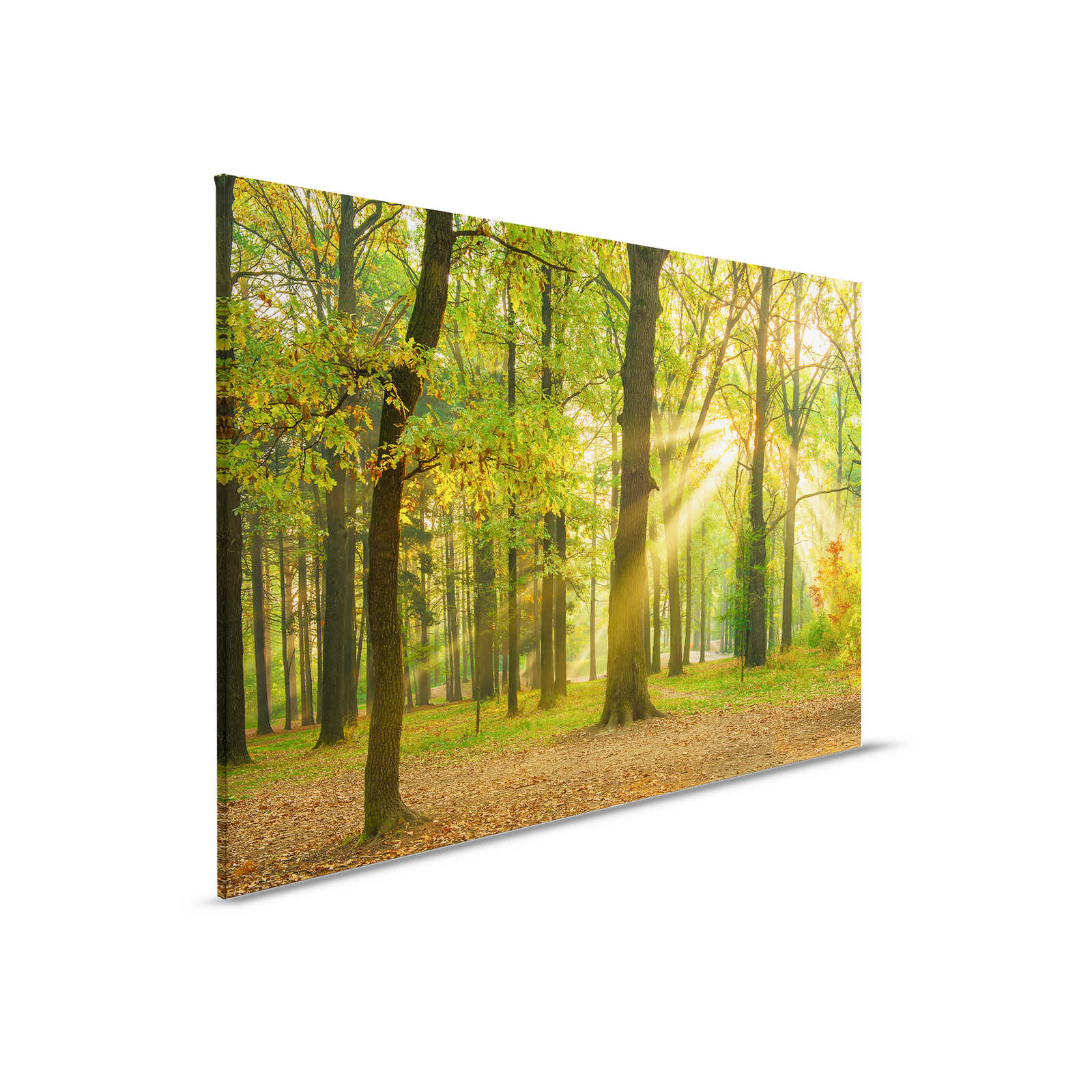         Leinwandbild Wald Landschaft im Herbst – 0,90 m x 0,60 m
    