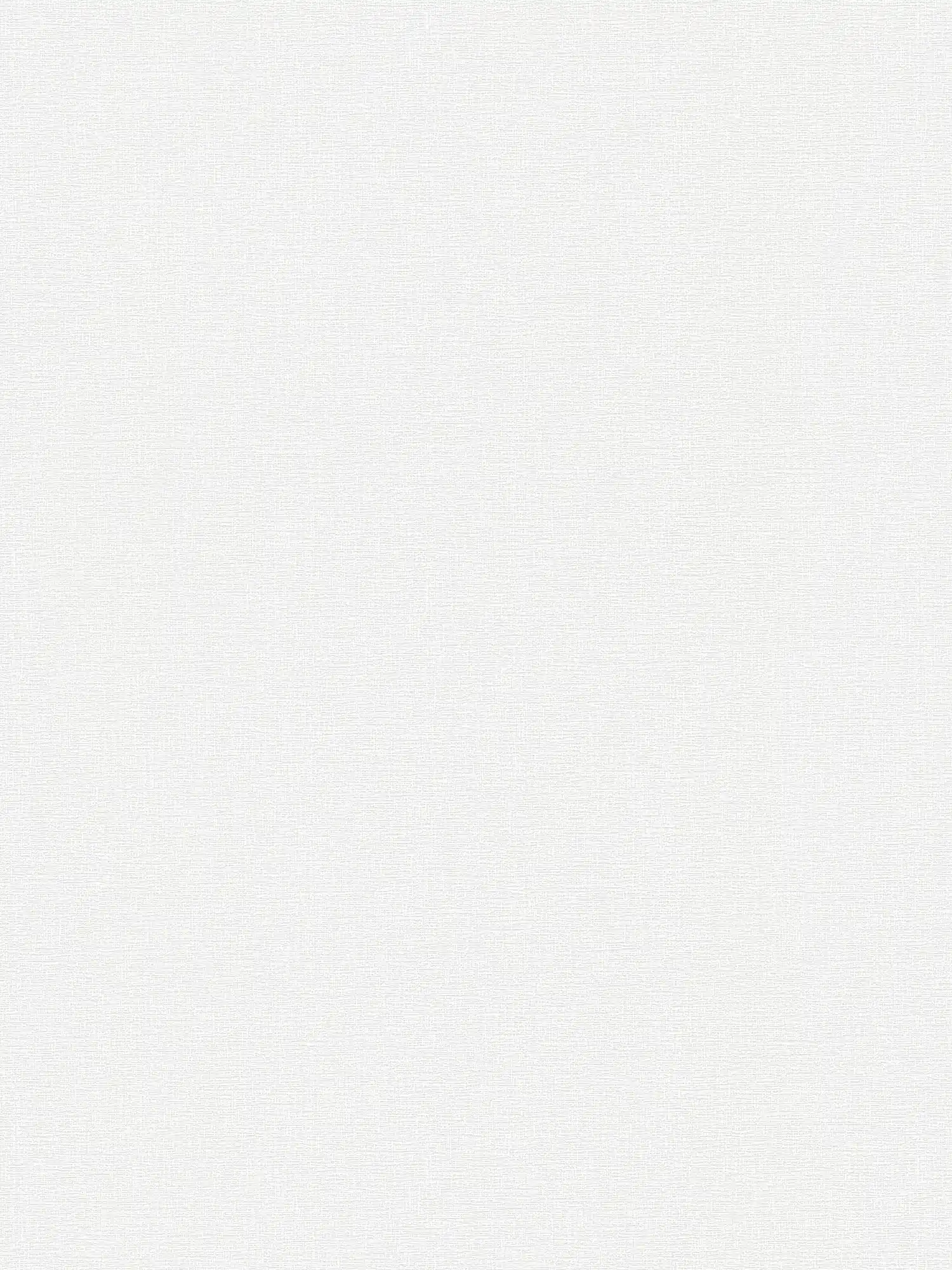         Papier peint blanc naturel mat avec motifs structurés discrets
    