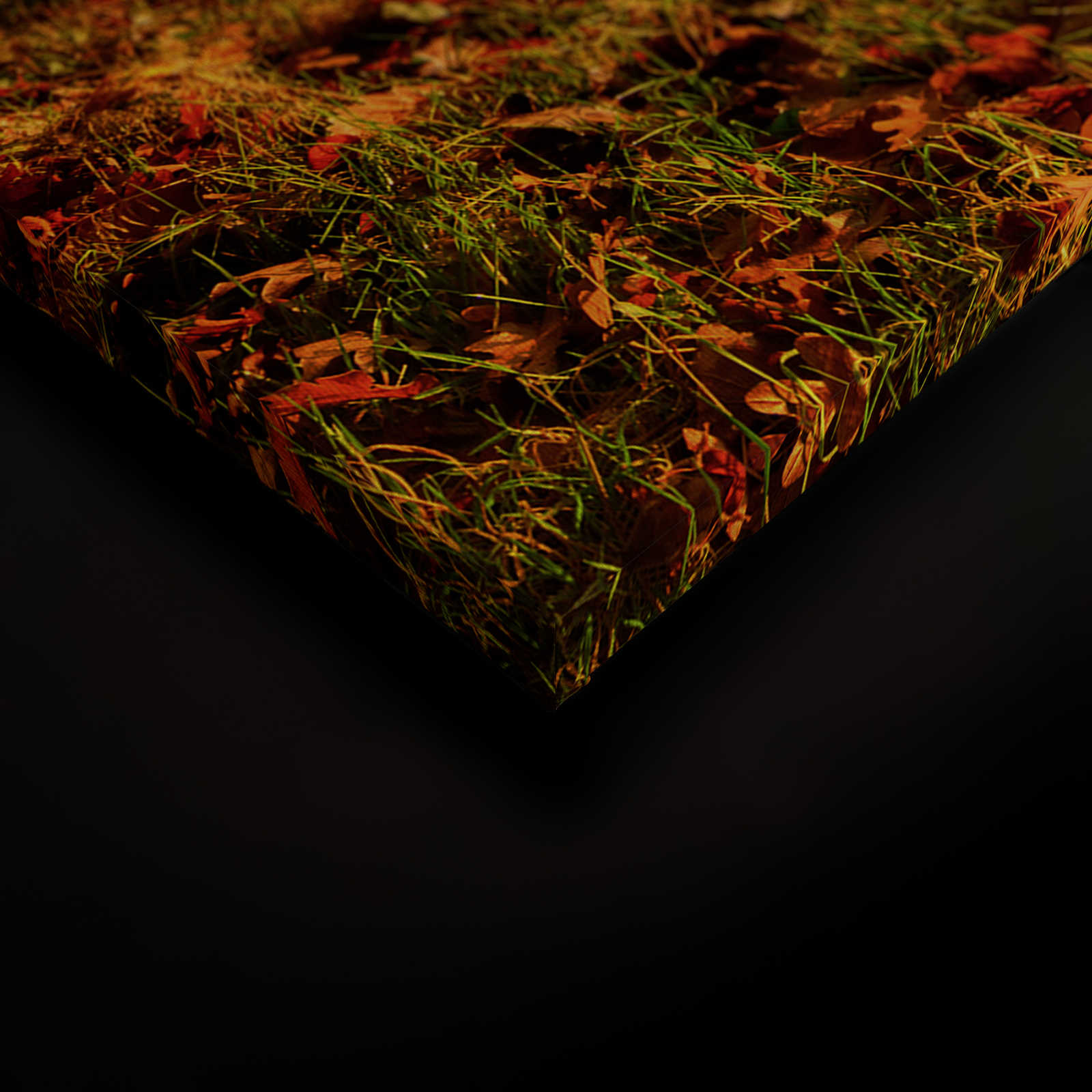             Leinwandbild Bank im Wald an einem Herbstmorgen – 0,90 m x 0,60 m
        