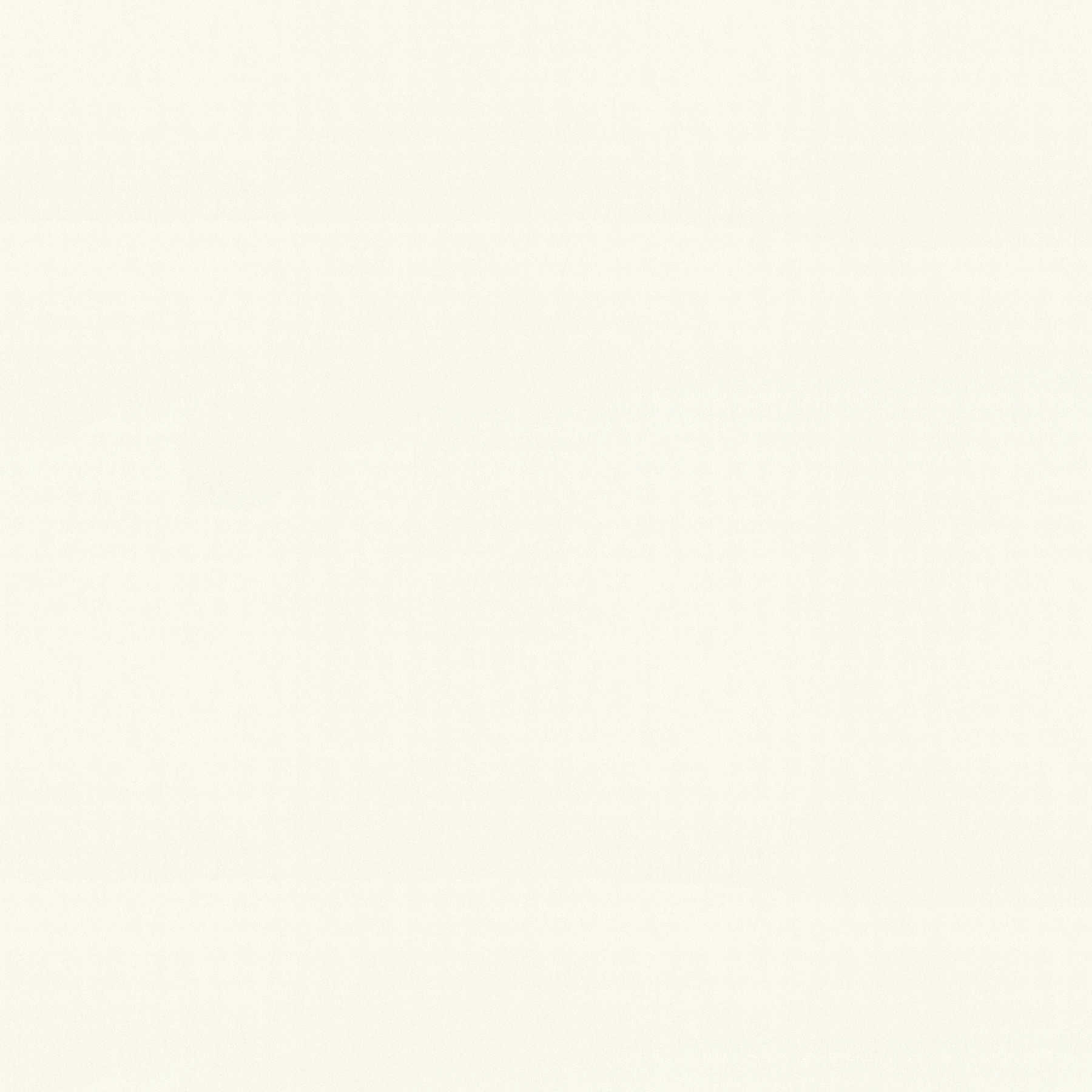         Meistervlies behang wit effen, glad
    