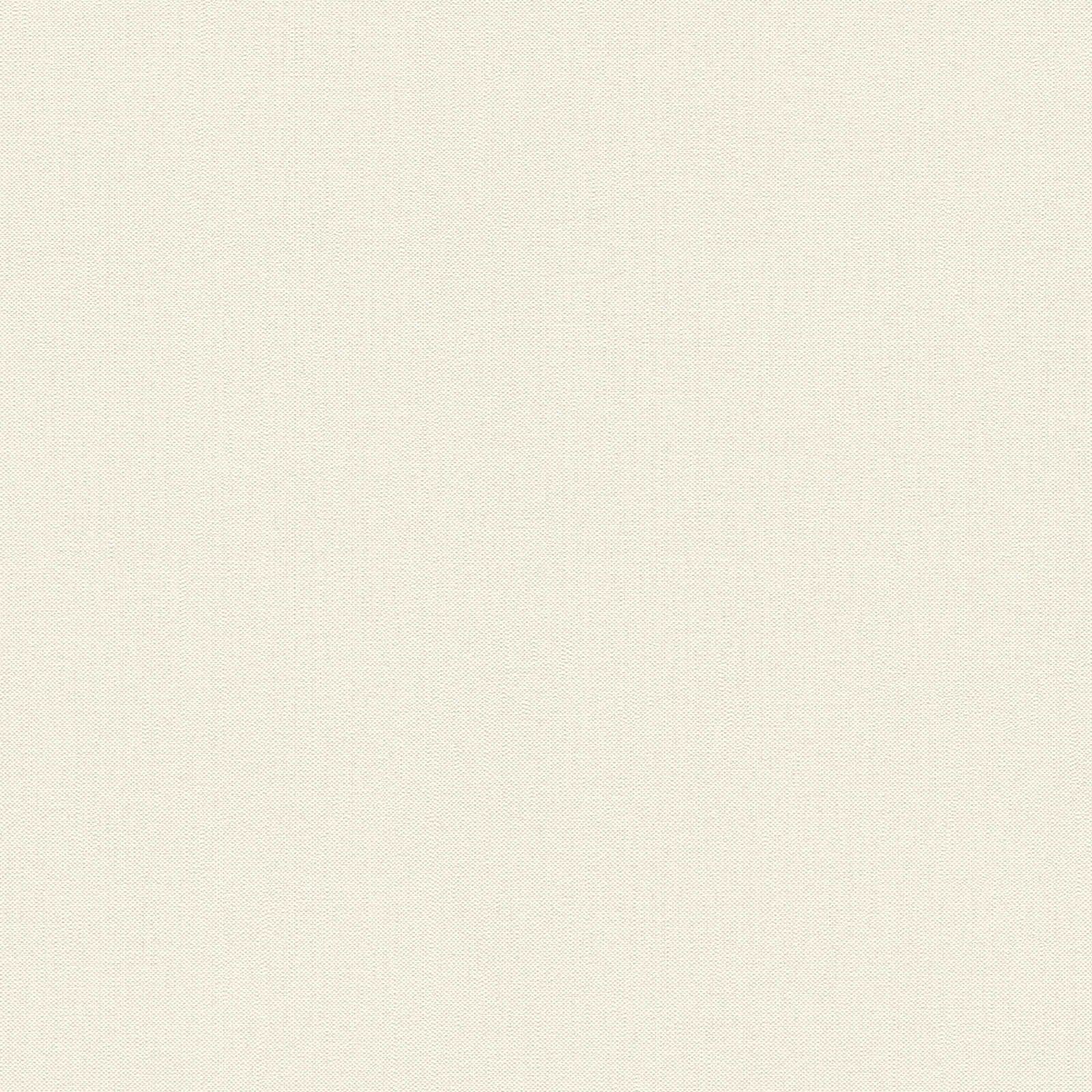 Canvas, Beige, Textil, Stoff, Textur
