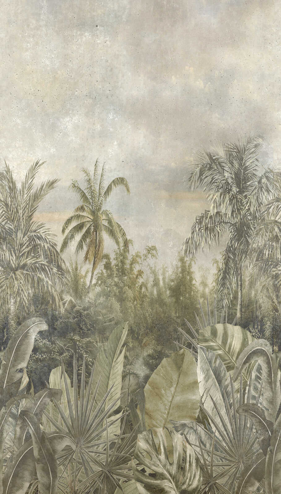 Dschungel, Palmen, Landschaft, Blätter, Natur