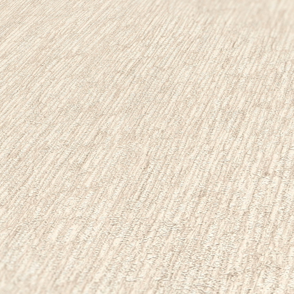             Vliestapete in Putzoptik leicht strukturiert – Beige, Creme, Silber
        