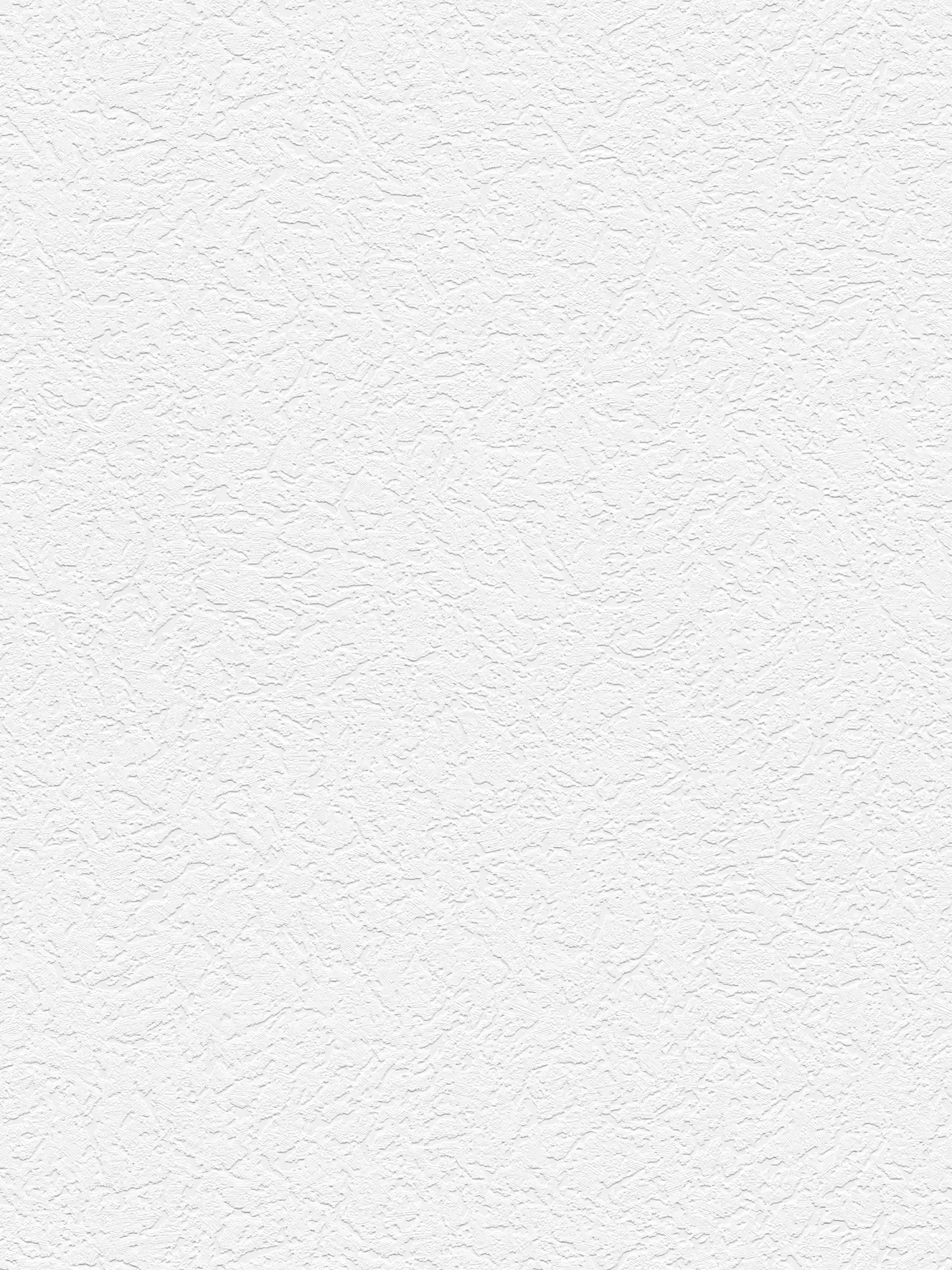         Rough plaster wallpaper with 3D structure design in wall plaster optics
    