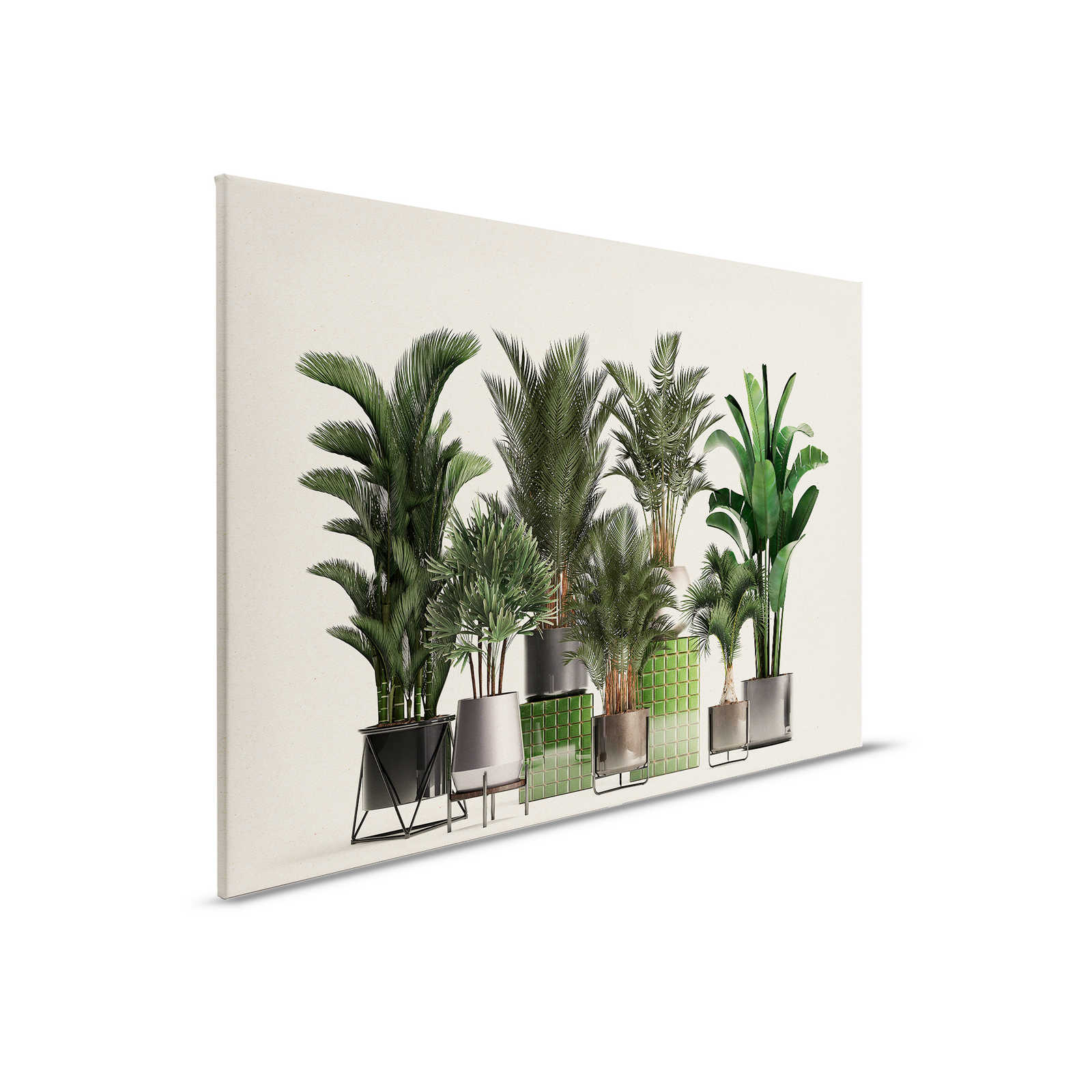             Plant Shop 1 - Natur Leinwandbild Topfpflanzen Palmen – 0,90 m x 0,60 m
        