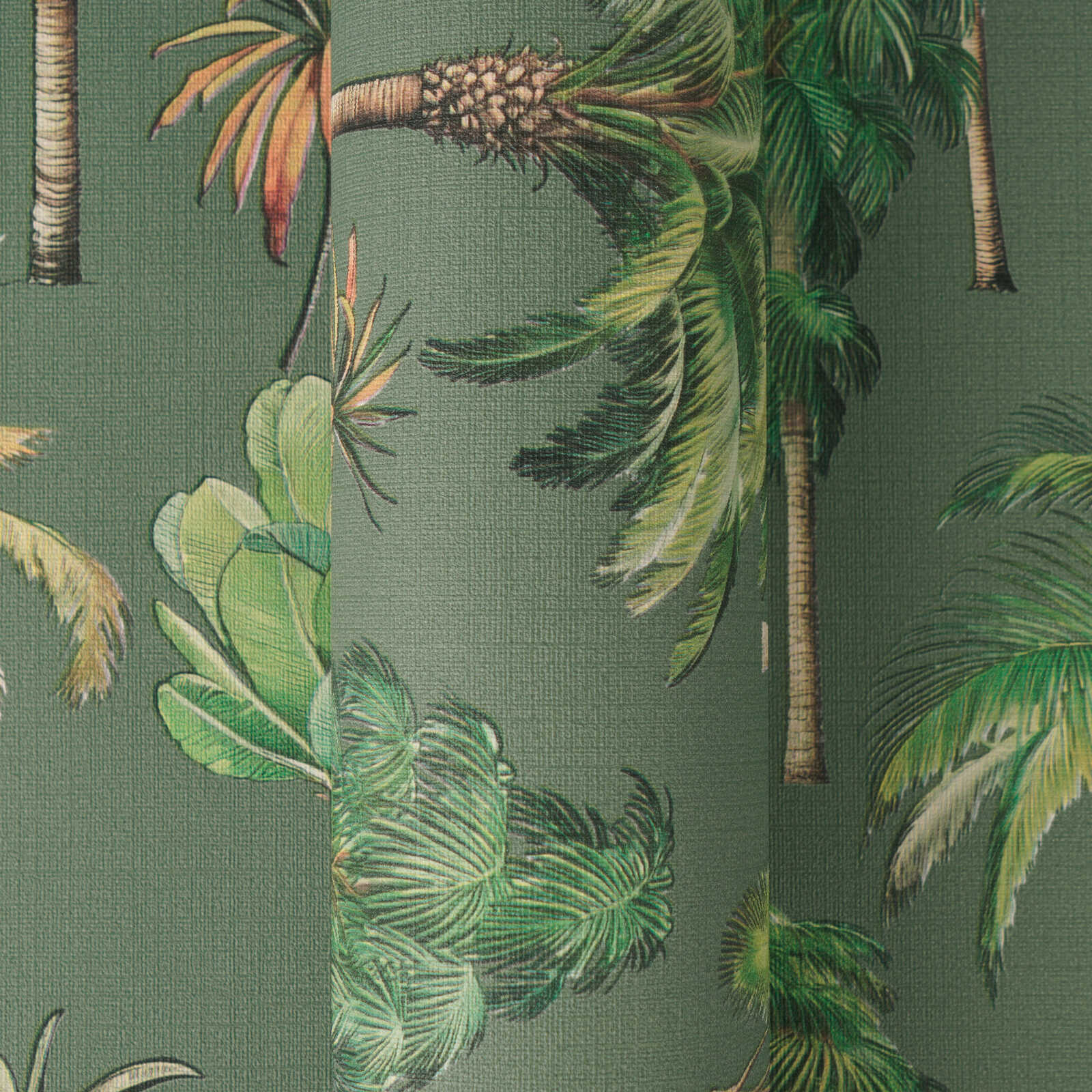 Pflanze, Vegetation, Dschungel, Regenwald, Baum