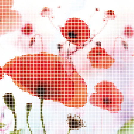Mohnblume, Mohn, Blumen, Rasterbild, Poppy-Muster