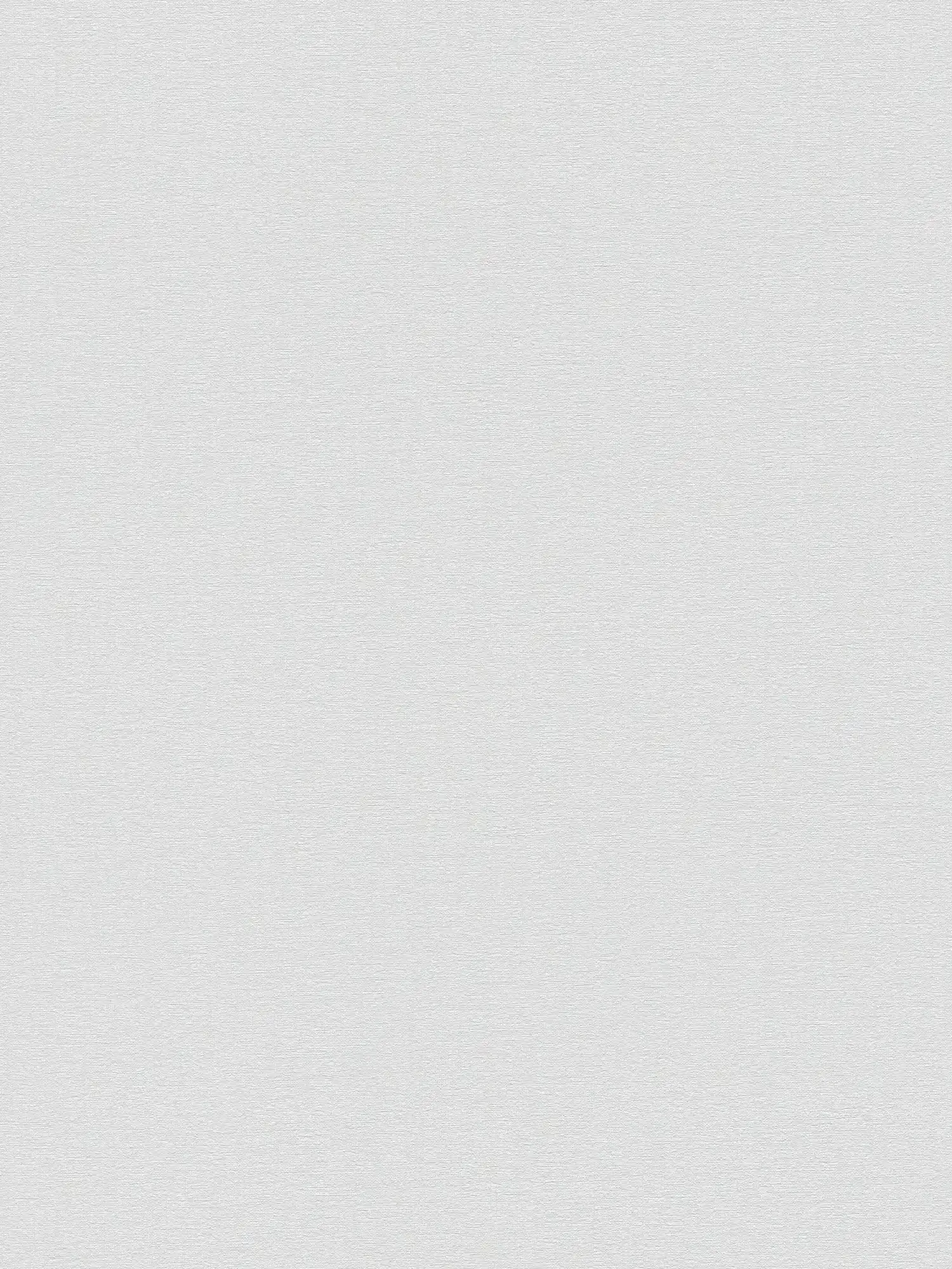         Leicht strukturierte Unitapete in matter Optik – Weiß
    