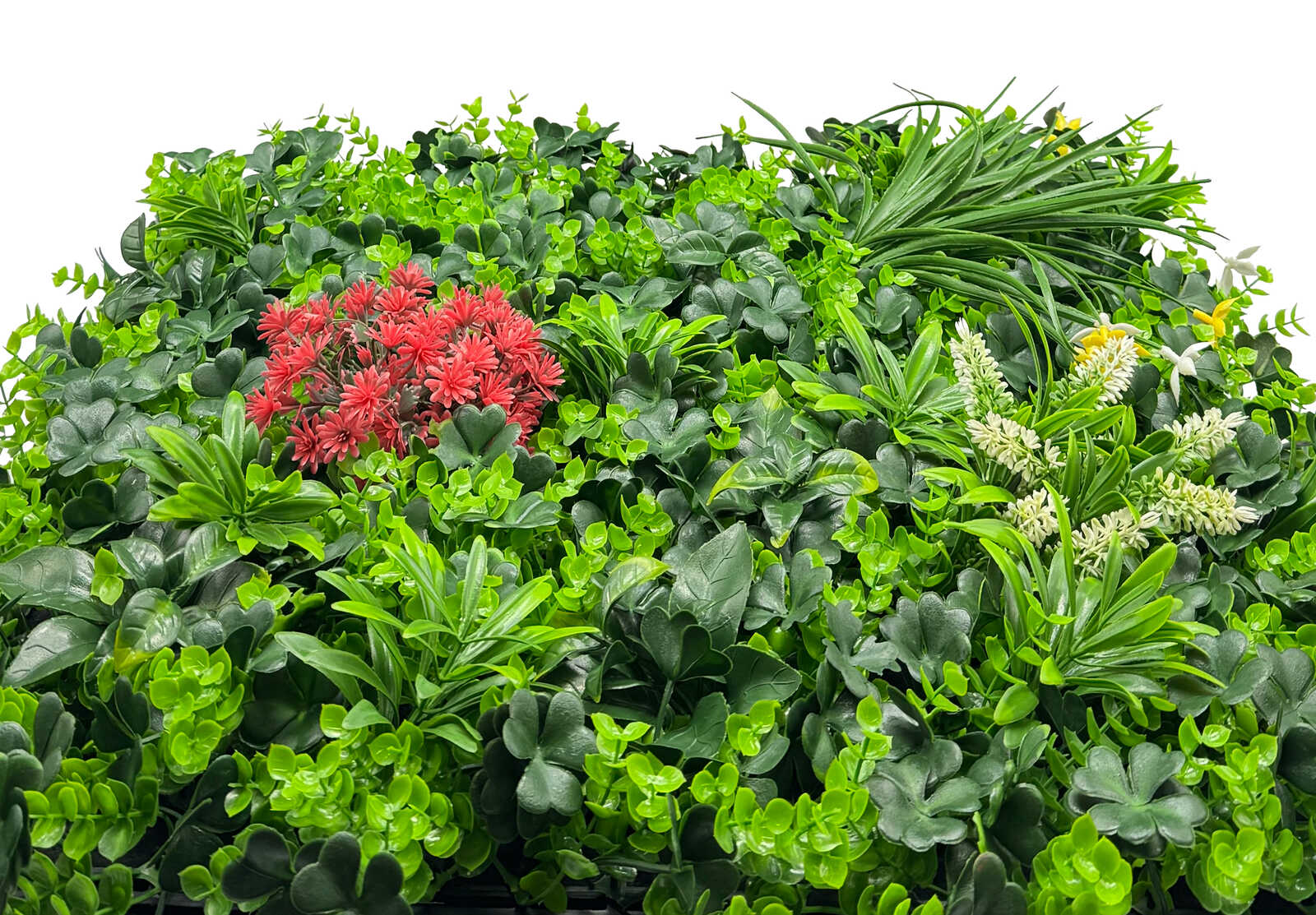 kugelpflanze, grünpflanze, laubwerk, pflanzenmix, rote blüten
