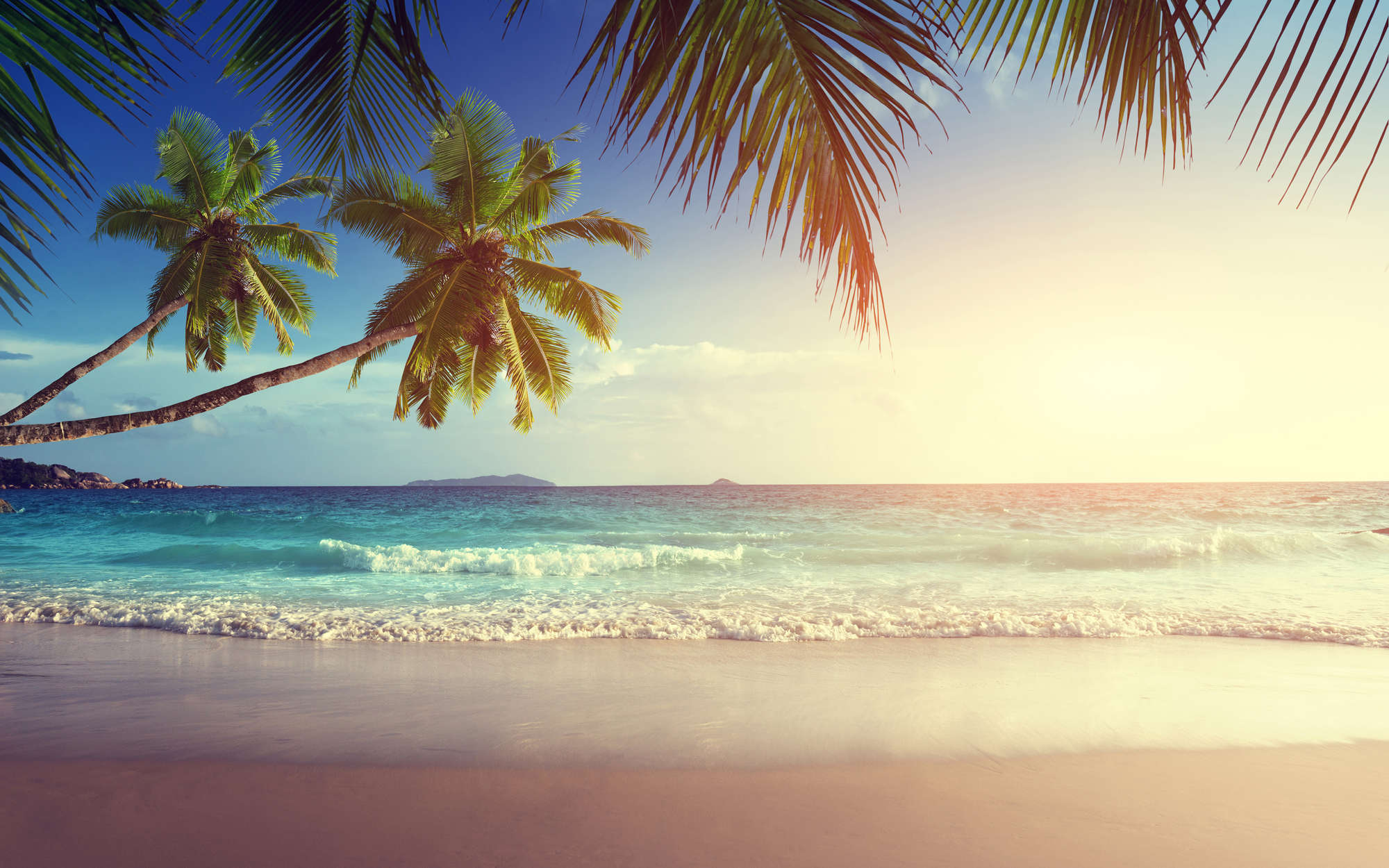 strand, palmen, strandurlaub, meer, sonnenuntergang