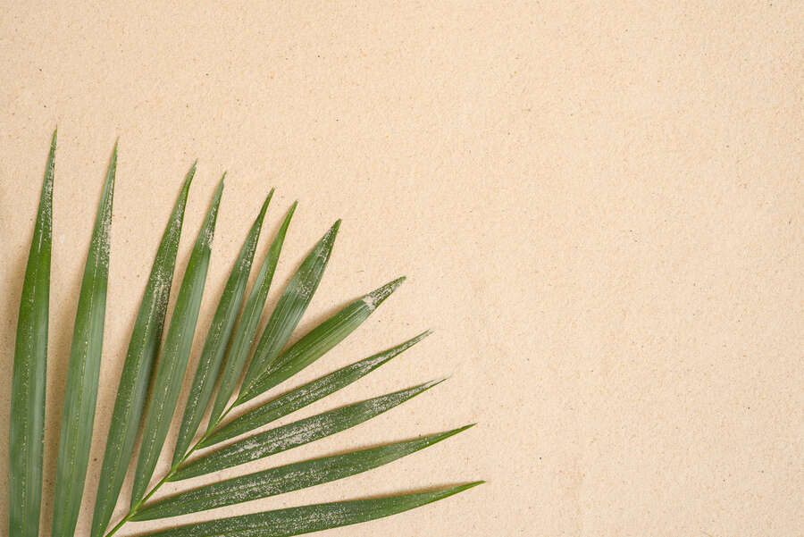             Fototapete Strand-Oase – Vliestapete mit Palmenblatt und Sandtextur für tropisches Urlaubsfeeling – Bunt
        
