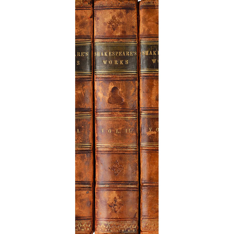 Bücherregal, Vintage, Lederband, Englische Reihe, Sprachband