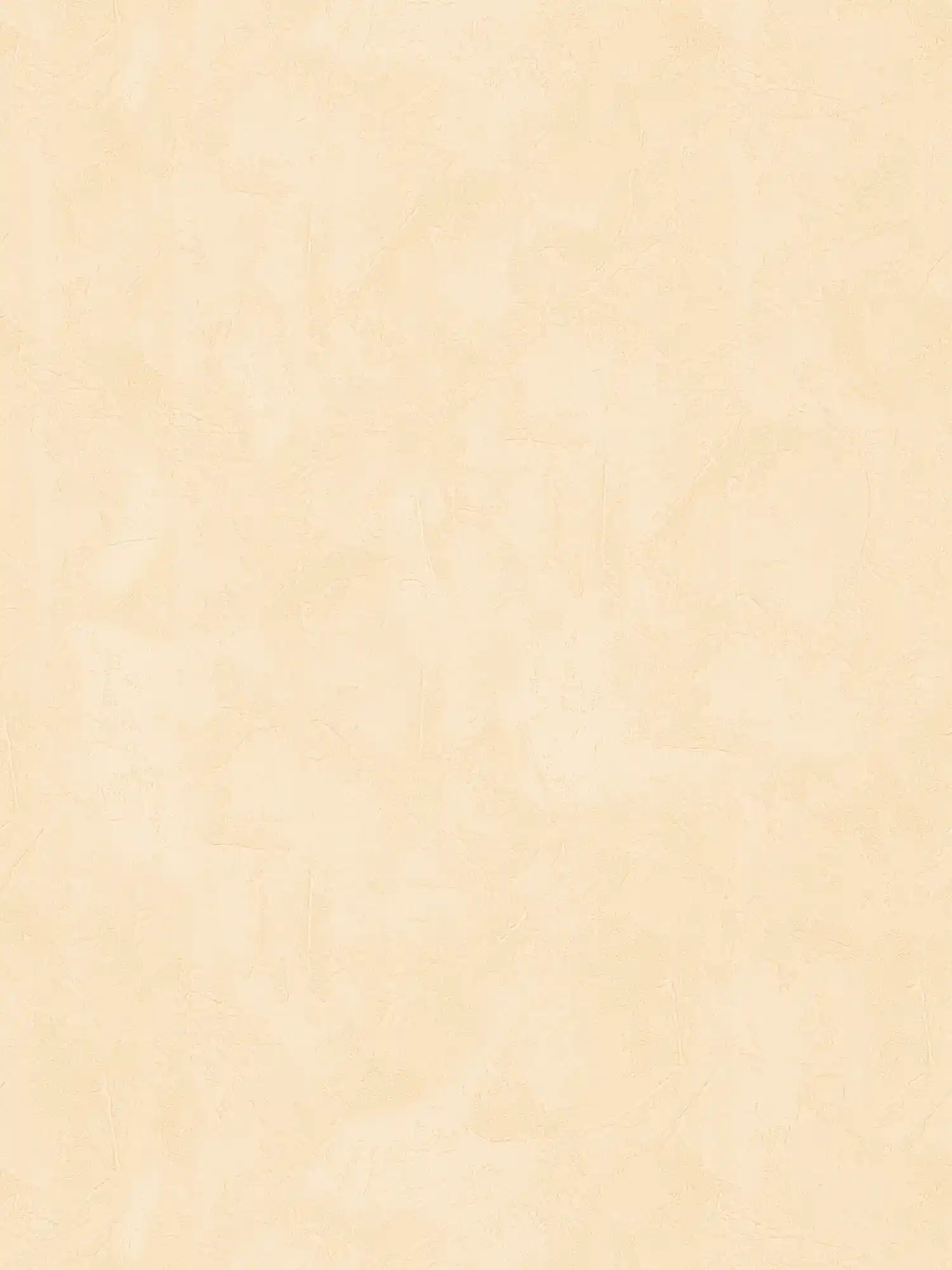         Mediterraan pleisterachtig behang in licht oranje & beige
    