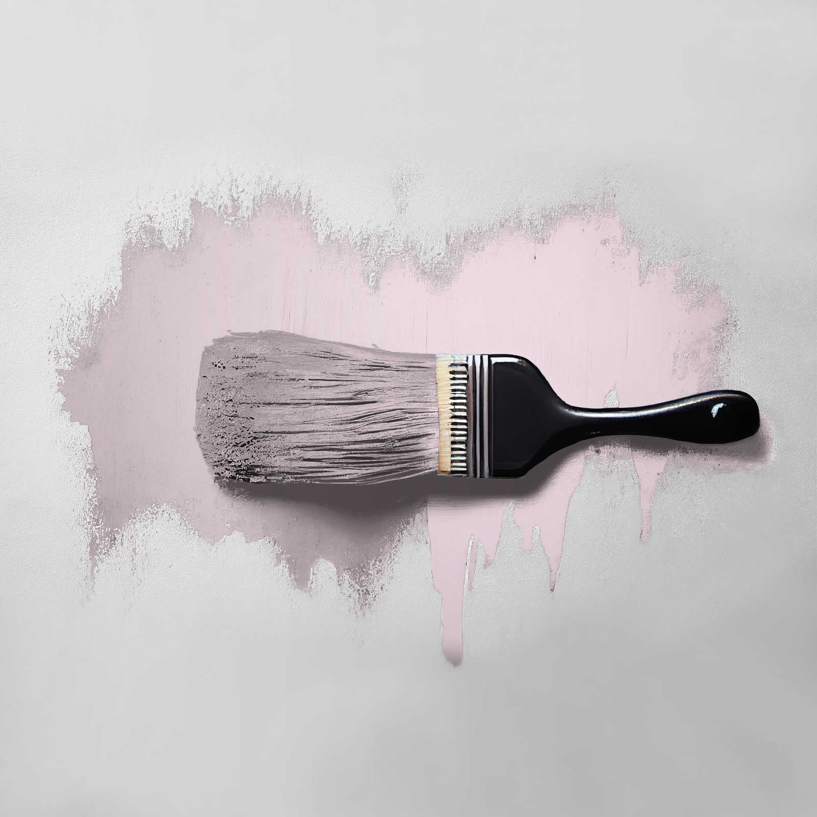 Pinsel, Wandfarbe, Rosa Farbe, Farbauftrag, Künstlerbedarf