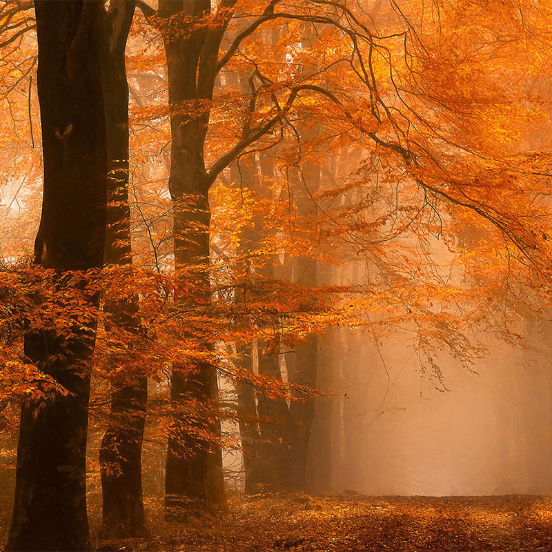         Architects Paper Fototapete AP Digital 4
    