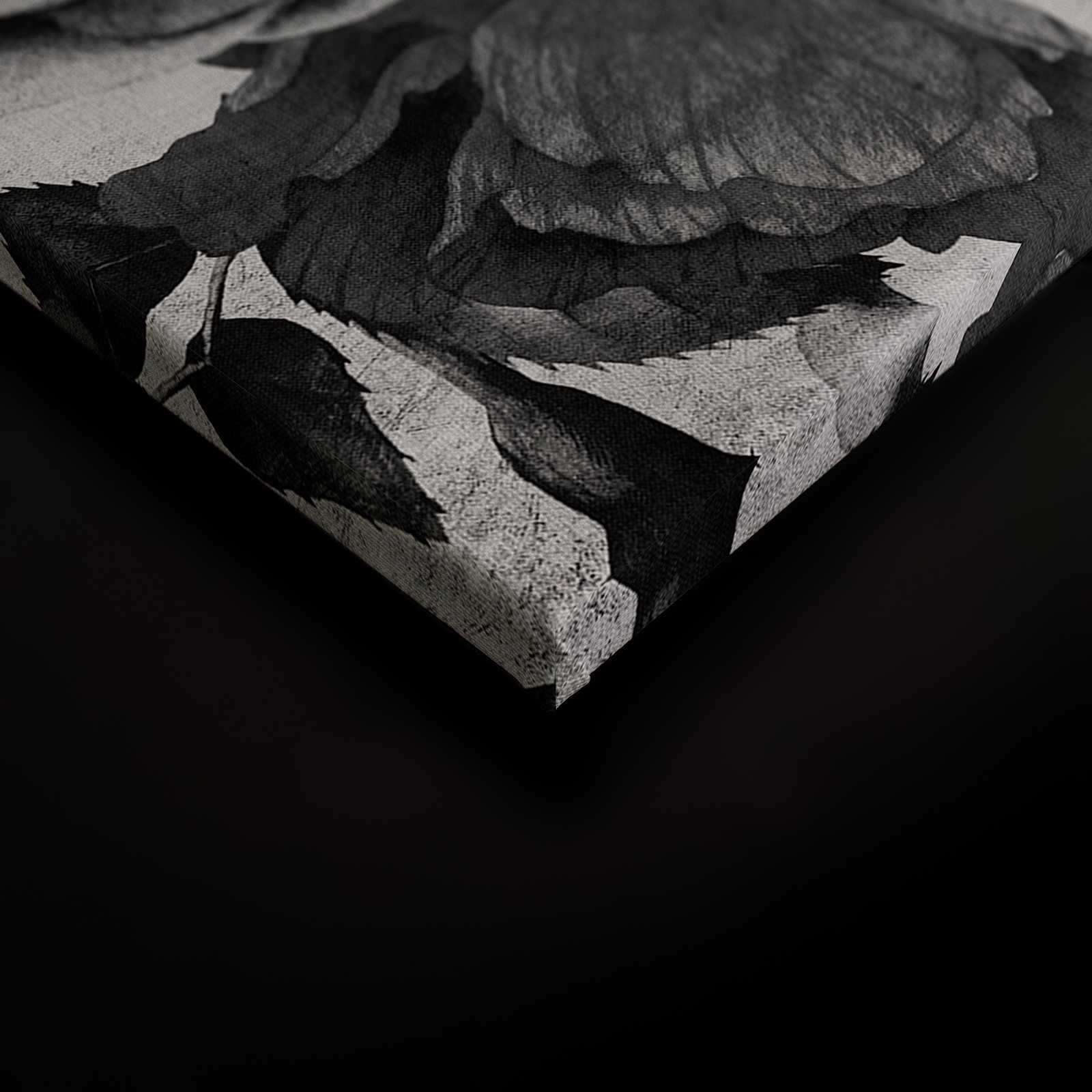             Spanish rose 1 - Rosen Leinwandbild mit Schwarz-Weiß Blüten – 0,90 m x 0,60 m
        