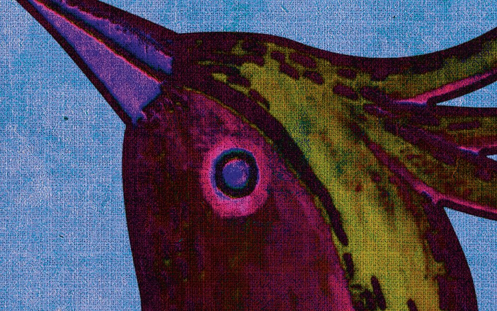 Tier, Schnabel, Vogel, Kunst