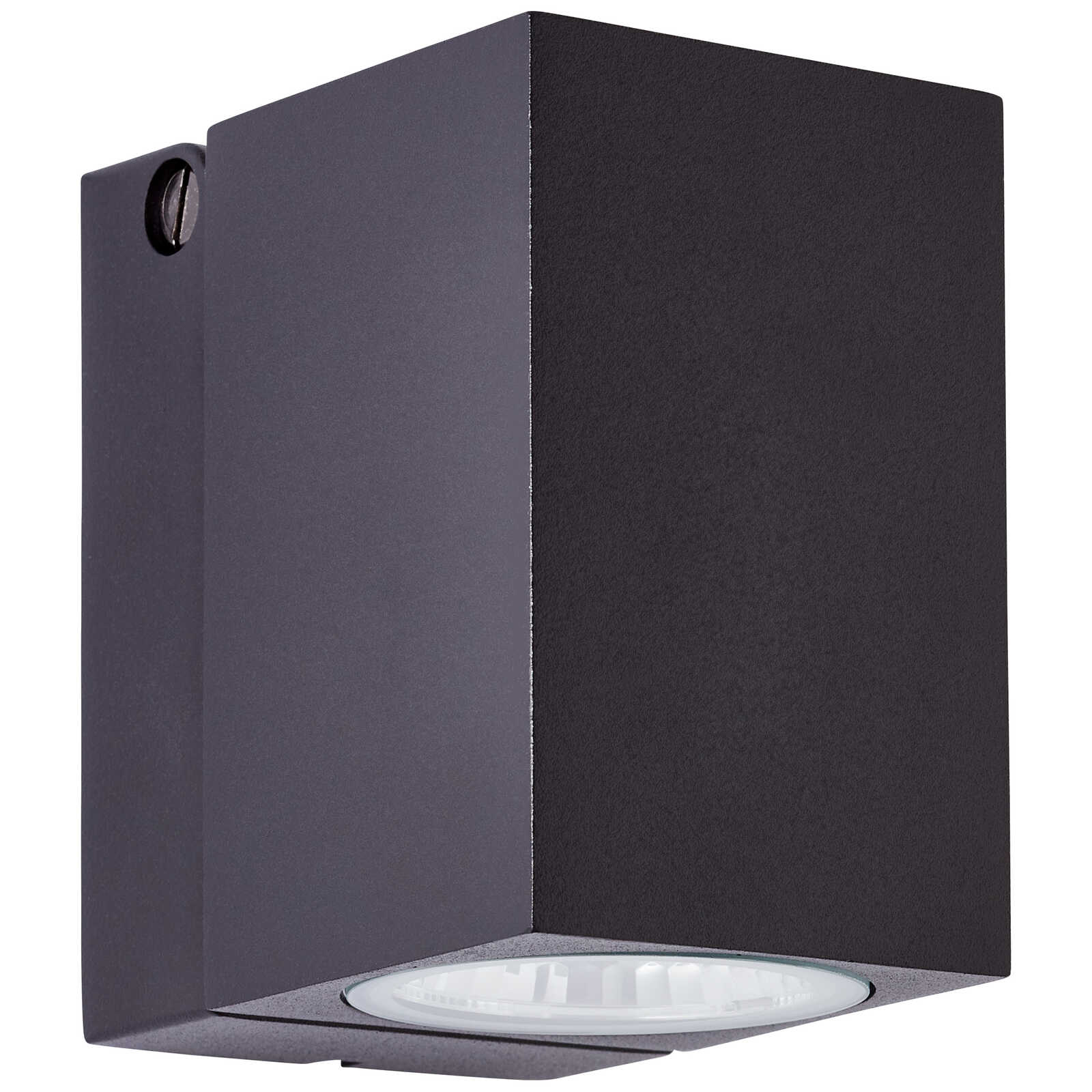             Applique murale d'extérieur en verre - Dalia - Noir
        