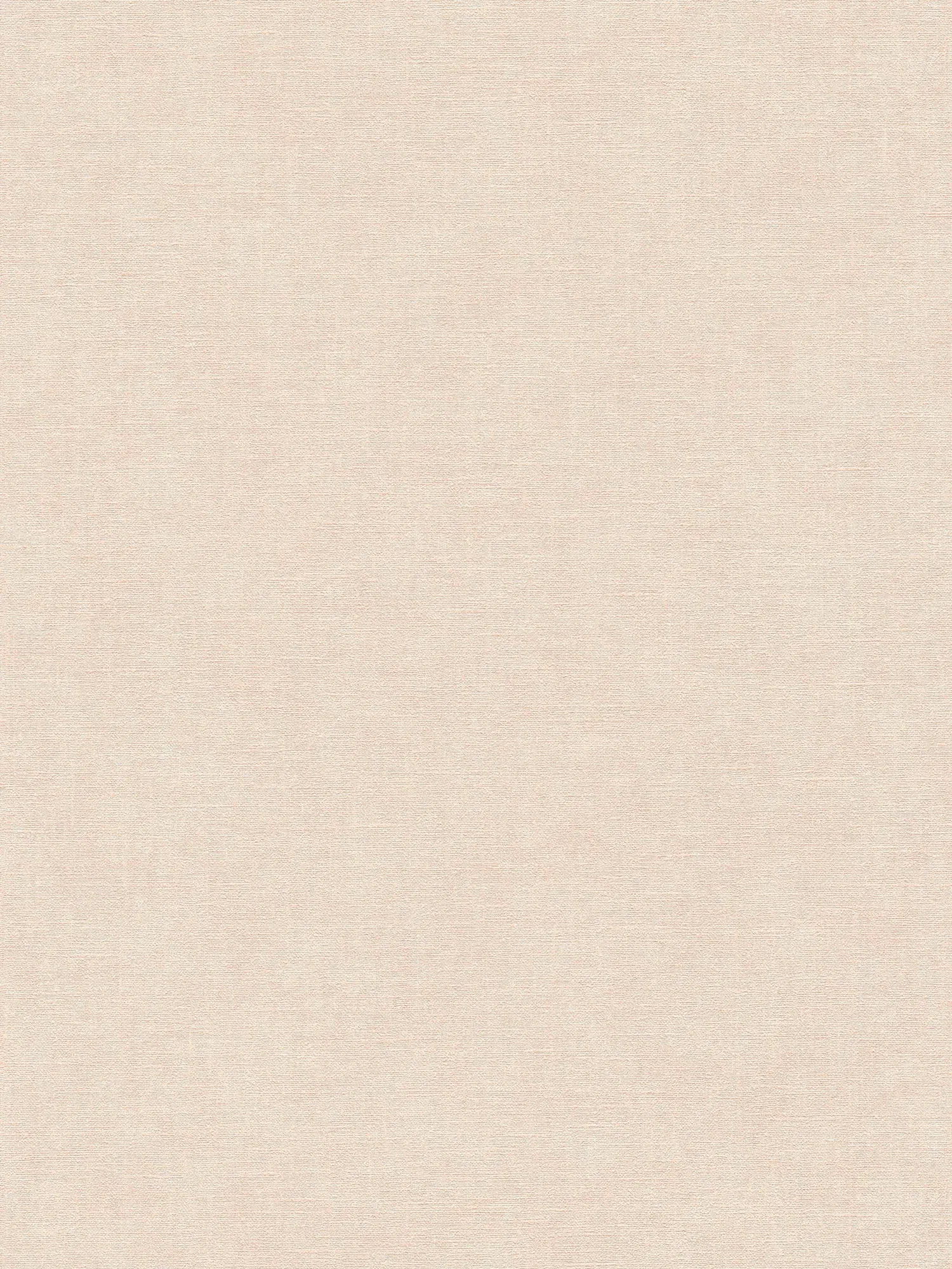             Einfarbige Vliestapete in Putzoptik mit leichter Struktur – Beige, Creme
        