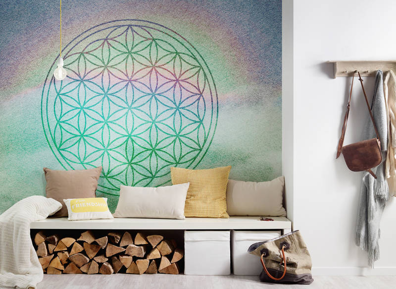 Kissen, Dekoration für Zuhause, Drinnen, Innenarchitektur