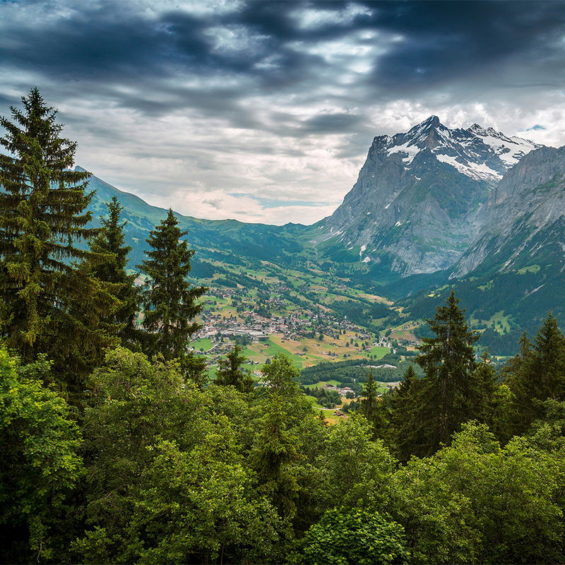 Baum, Tanne, Gebirgskette, Konifer, Landschaft