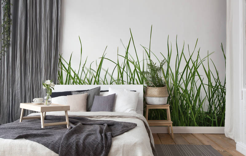             Fototapete mit Detailaufnahme von frischem Gras vor weißem Hintergrund
        