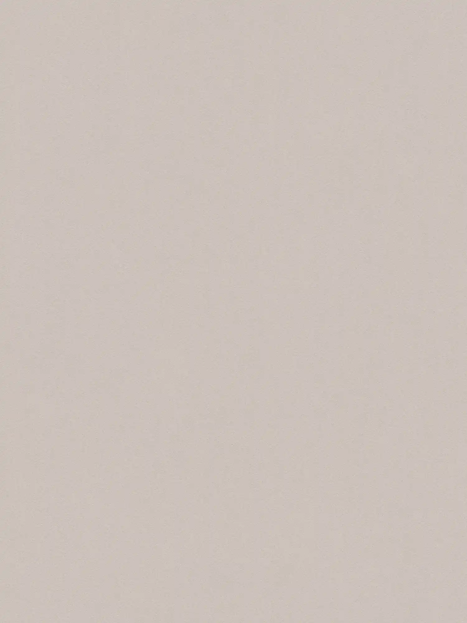         Non-woven wallpaper plain, matte, neutral earth tone - grey
    