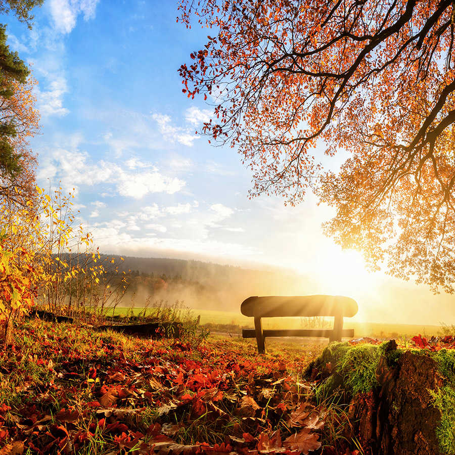         papiers peints à impression numérique banc dans la forêt avec inscription - Premium intissé lisse
    