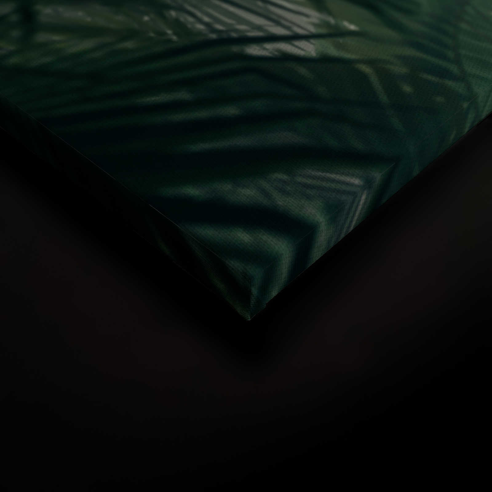             Leinwandbild mit Dschungelblick in der Regenzeit – 0,90 m x 0,60 m
        