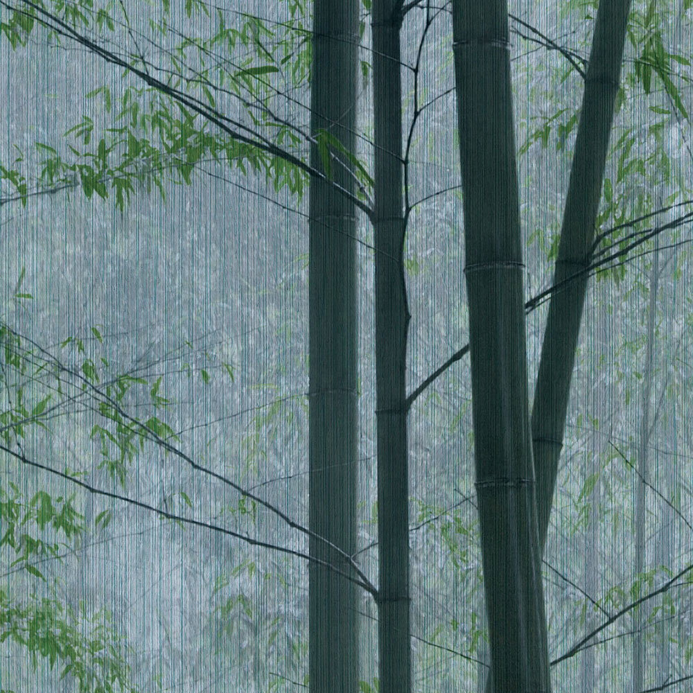 In the Bamboo 2  Fototapete Bambus-Wald im Morgengrauen