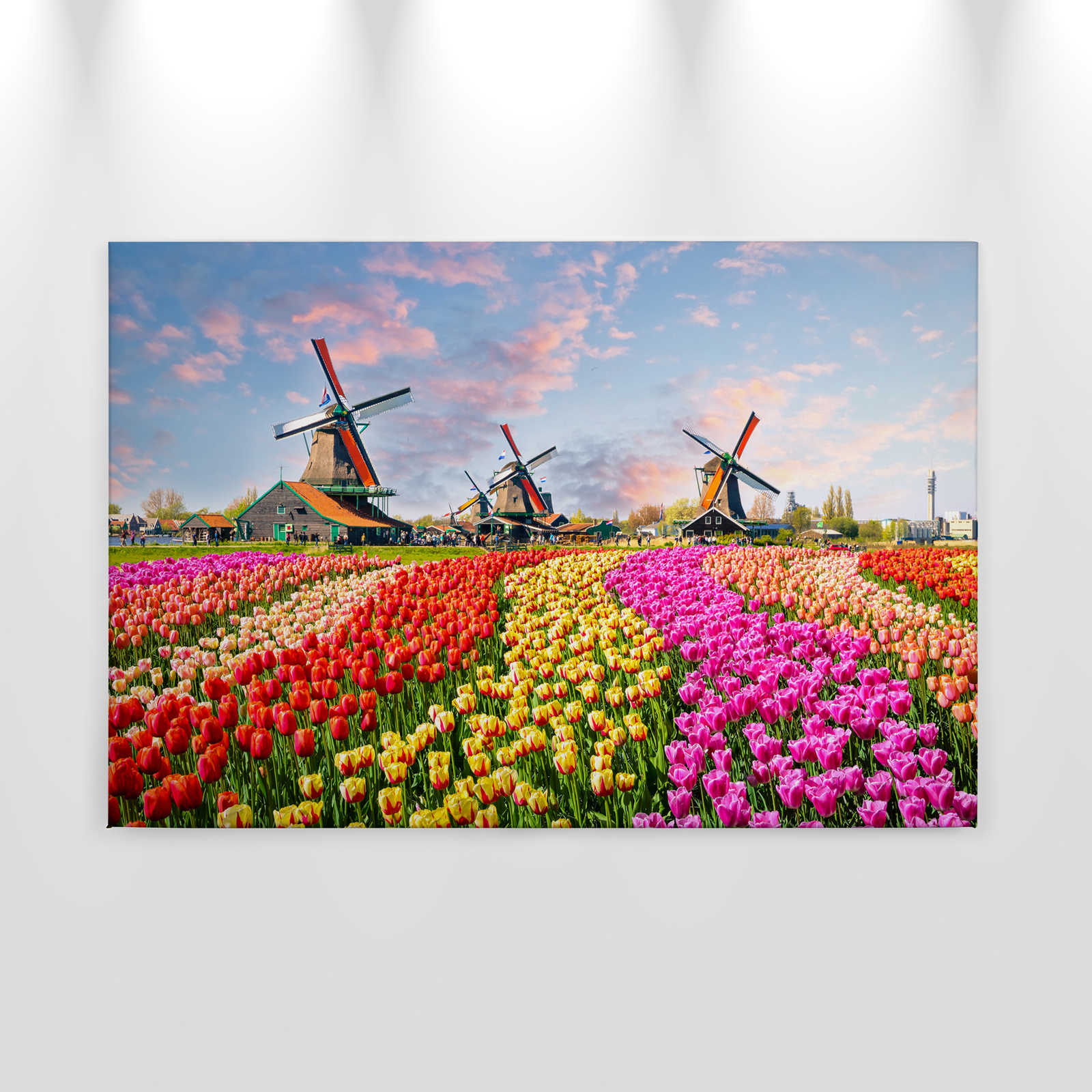             Leinwand Holland Tulpen & Windrad – 0,90 m x 0,60 m
        