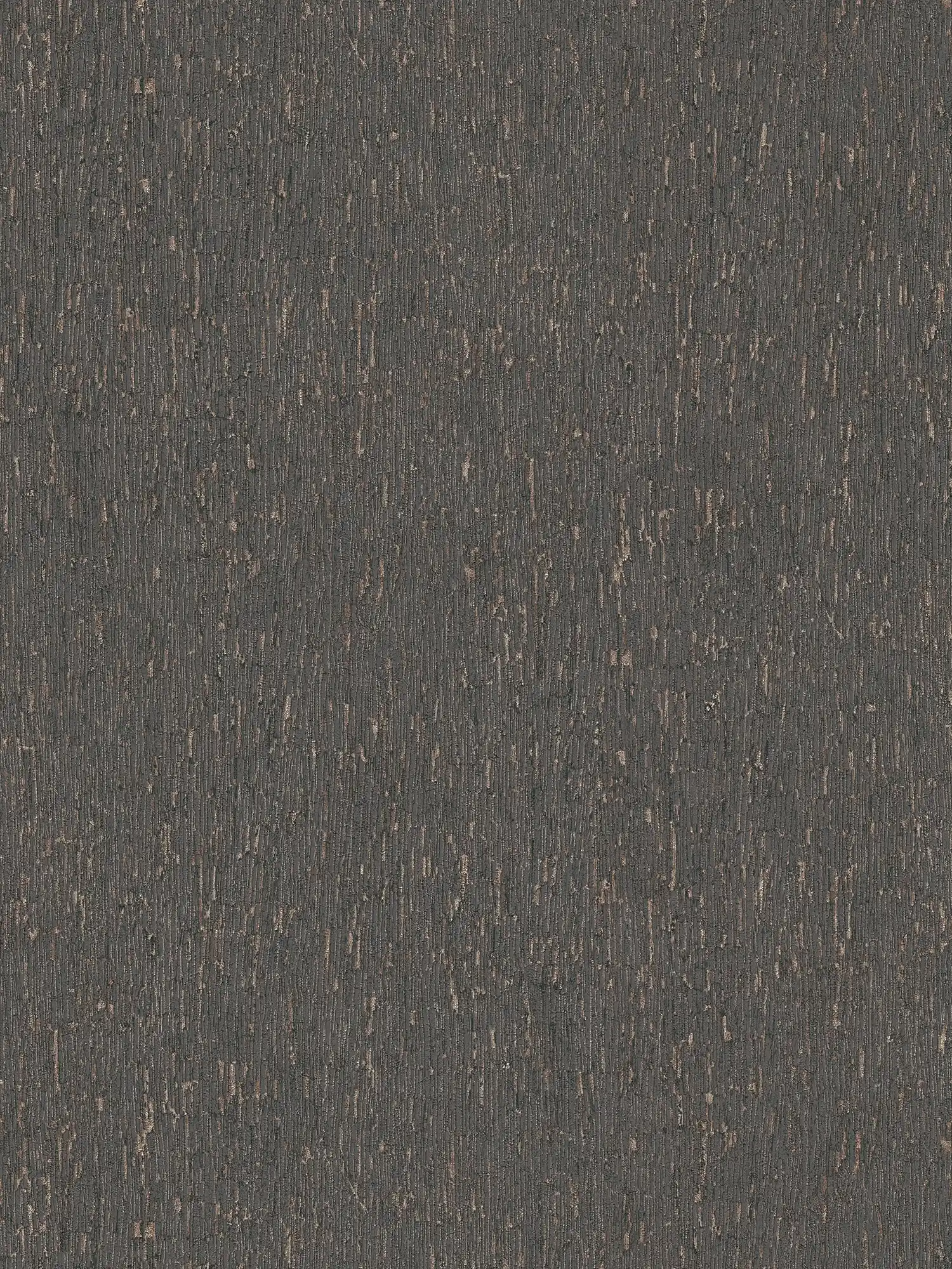 Tapete in Putzoptik mit goldenen Akzenten – Schwarz, Silber, Metallic