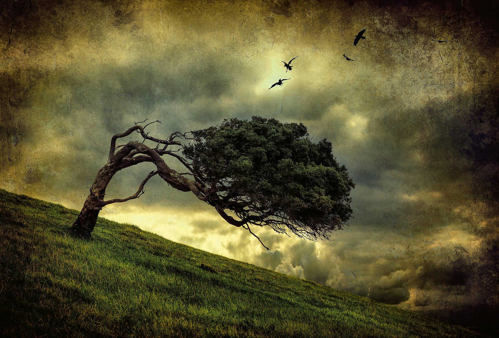         Vintage Landschap Behang - Groen, Geel, Zwart
    