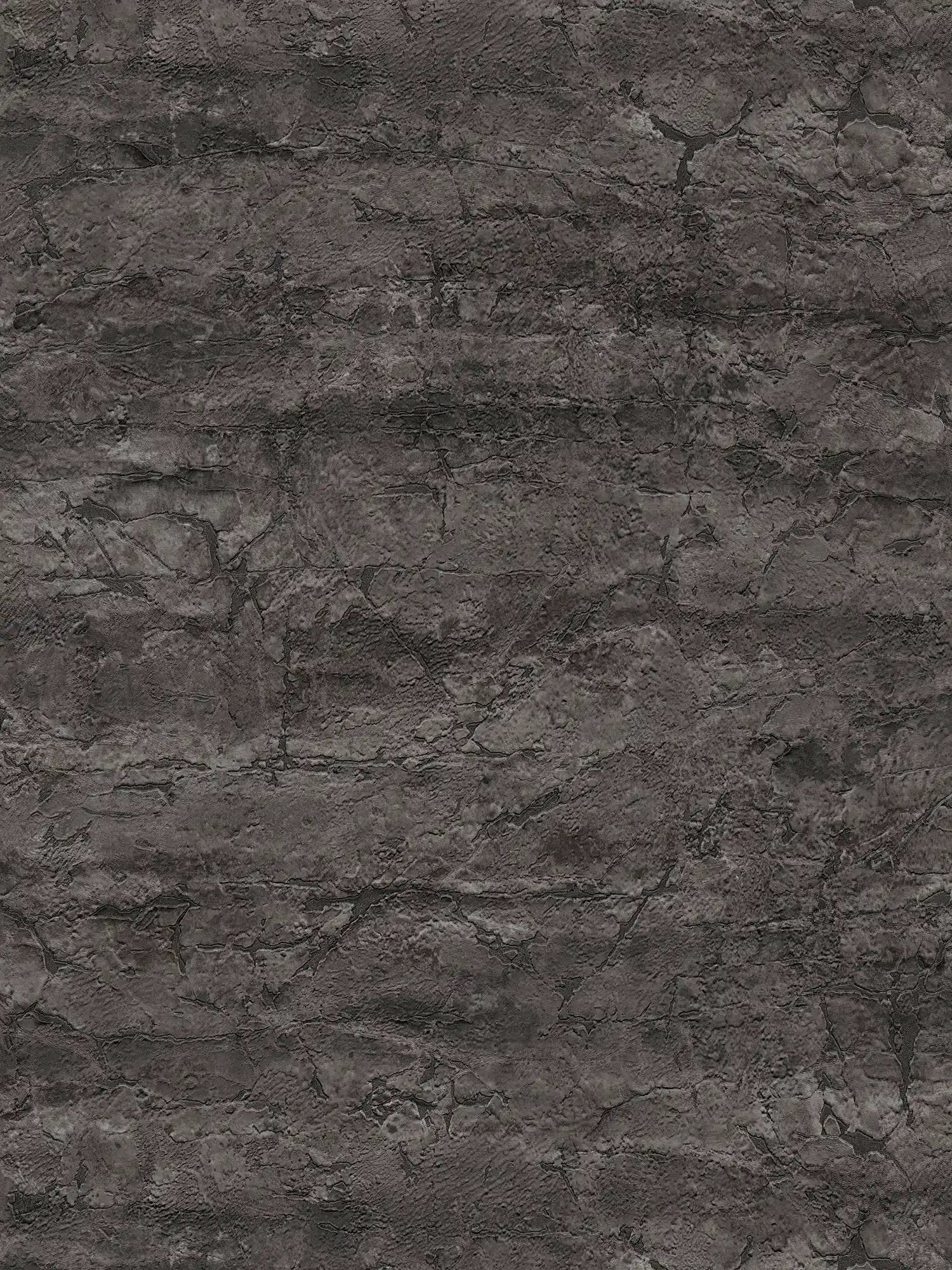         Vliestapete in natürlicher Steinoptik strukturiert – Schwarz, Grau, Metallic
    