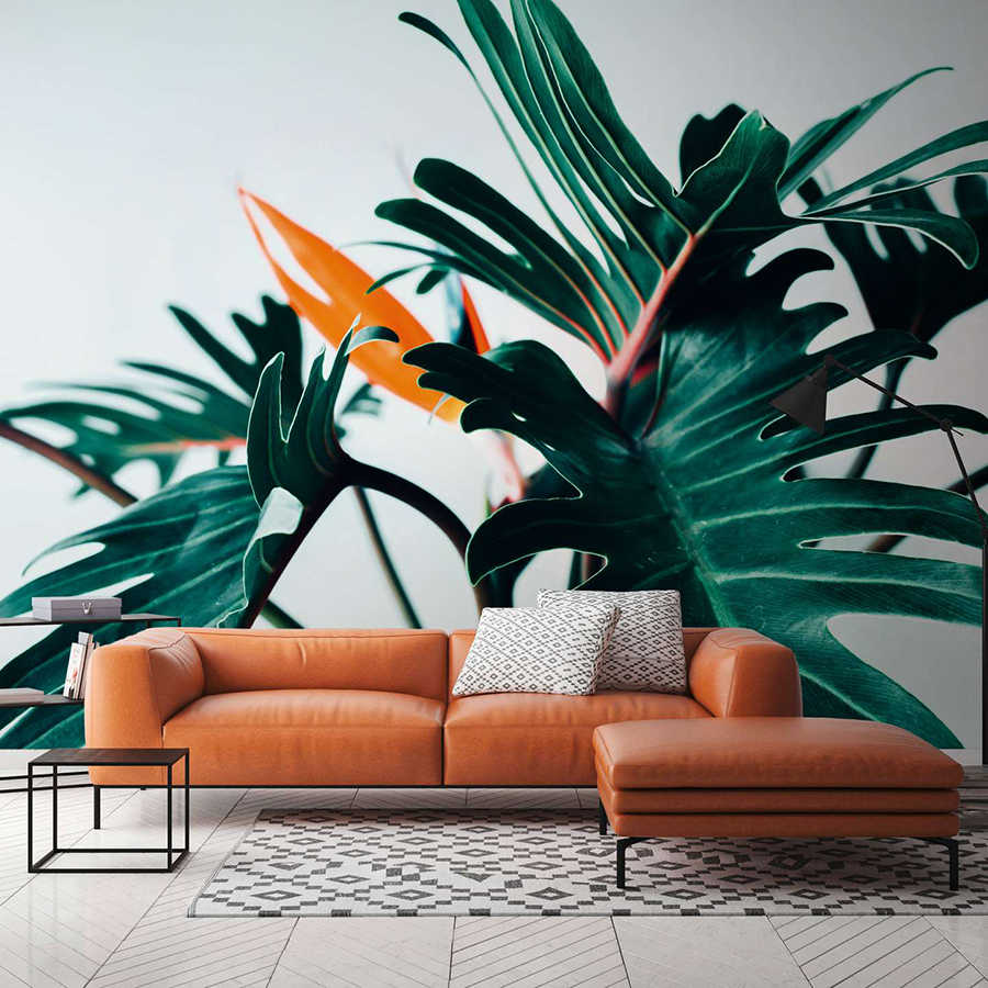         Fototapete tropisches Dschungelblatt Nahaufnahme – Grün, Orange, Weiß
    