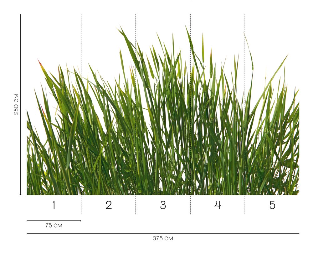             Fototapete frisches Sommergras – Naturtapete für lebendige Grünakzente als Vliestapete – Bunt
        